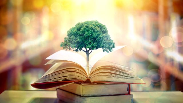 تعليم إدارة المنظمات غير الربحية: إلى أين يتجه هذا المسار الأكاديمي؟