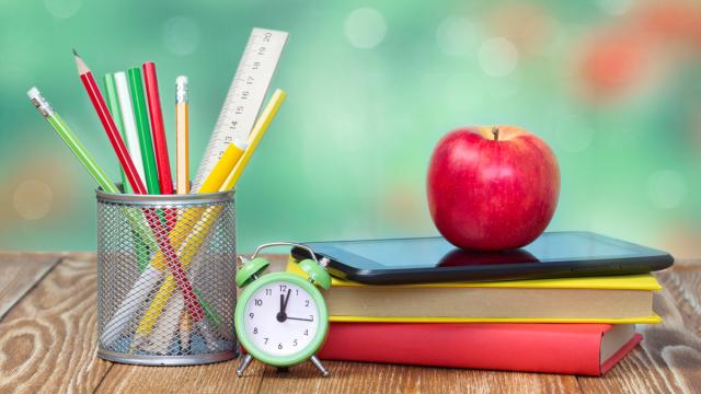 الاستدامة في التعليم غير الربحي