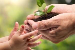 انعكاسات الأوقاف الإيجابية على المنظمات غير الربحية