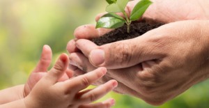 انعكاسات الأوقاف الإيجابية على المنظمات غير الربحية