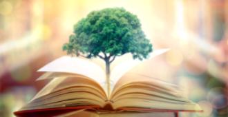 تعليم إدارة المنظمات غير الربحية: إلى أين يتجه هذا المسار الأكاديمي؟