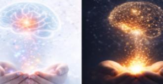 هدية واحدة… ومصنع داخلي من المعاني: ما تكشفه خرائط الدماغ عن سرّ العطاء الحقيقي